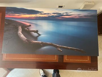 Tela Panoramica  “Tronchi al Tramonto” - stampa