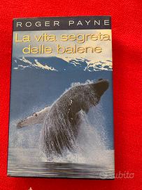 La vita segreta delle balene