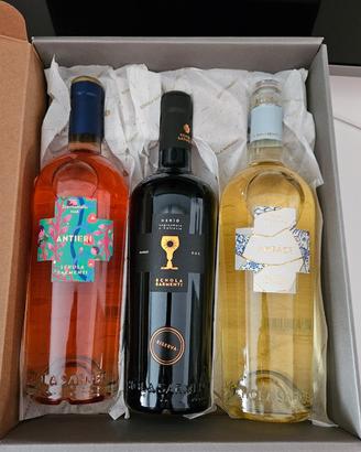 Confezione da 3 bottiglie VINI SCHOLA SARMENT