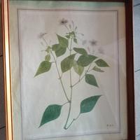 Quadro 