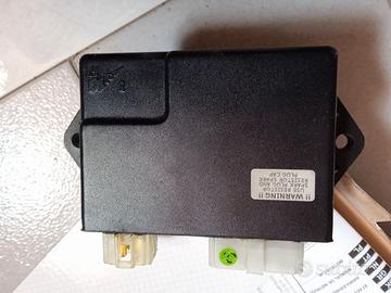 Suzuki intruder vs 1400cc centralina elettrica