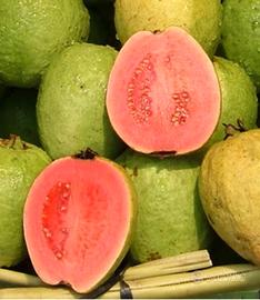 guava