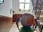 Immagine 14