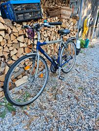 bici uomo 