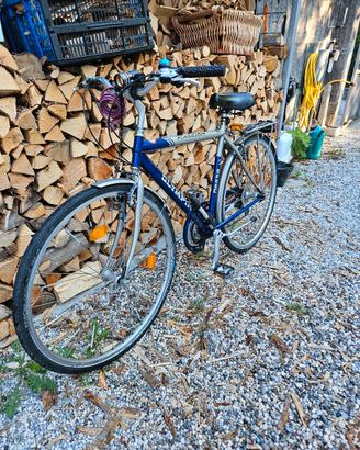 bici uomo 