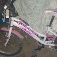 bicicletta da donna piccola 
