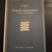 Raro Atlante Anatomico 1948 - Ed. Labor - Tavole S