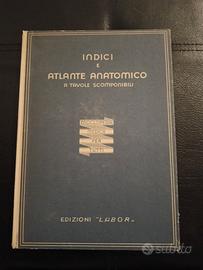 Raro Atlante Anatomico 1948 - Ed. Labor - Tavole S