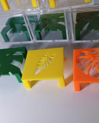 box germinazione cormi 