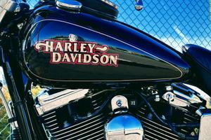Harley Dyna Low Rider 1340  Evolution FXDL CRS FMI