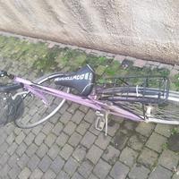 Bicicletta da donna