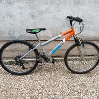 Bici mtb