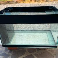Acquario in vetro da 250 litri