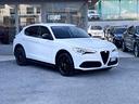 alfa-romeo-stelvio-2-2-diesel-190cv-e6-2021