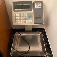 Bilancia elettronica