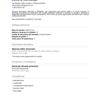 Autista per consegne (auto o moto)