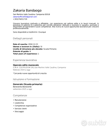 Autista per consegne (auto o moto)