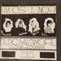 Navajos Junior vinile 45"