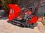 Immagine 7