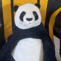 Peluche Panda