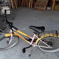 Bici mountain bike ruote 20", cambio shimano a 10