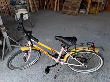 Bici mountain bike ruote 20", cambio shimano a 10