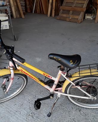 Bici mountain bike ruote 20", cambio shimano a 10