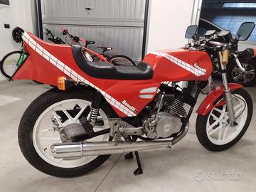Benelli 250c racing