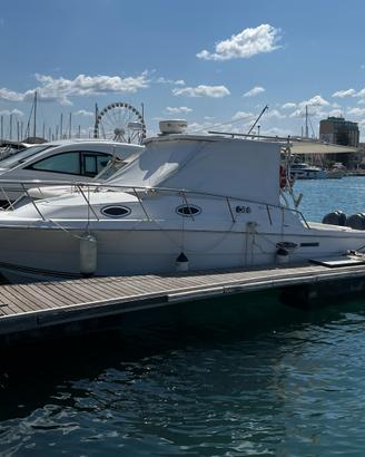 Wellcraft Coastal 290