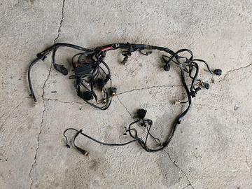 Cablaggio elettrico Ducati Monster 620 ie