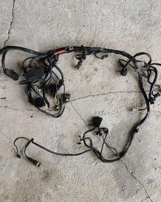 Cablaggio elettrico Ducati Monster 620 ie