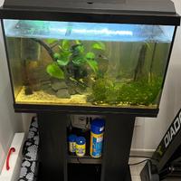 Acquario completo