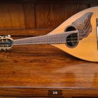 Mandolino napoletano alta liuteria
Triolo