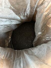 Carbone vegetale Biochar