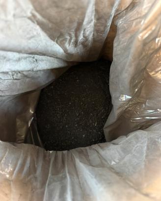 Carbone vegetale Biochar