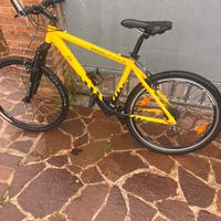 BICI BORUSSIA DORTMUND
