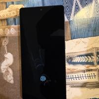 samsung s25 ultra 256gb