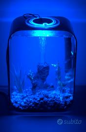 Acquario BIORB LIFE 15