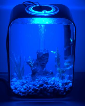 Acquario BIORB LIFE 15