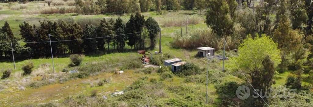 Immobile in asta di 79900 m² a Feroleto Antico - Vista 3