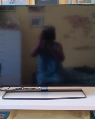 Televisore Philips 40 PUT 6400/12