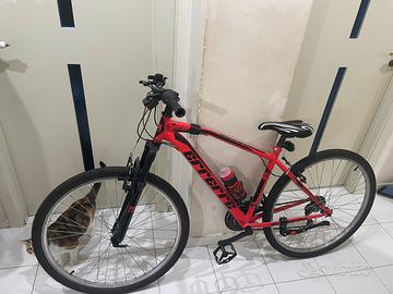 Bicicletta BMX