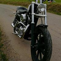 Harley Davidson XLH 1200 Sportster