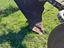 Immagine 5