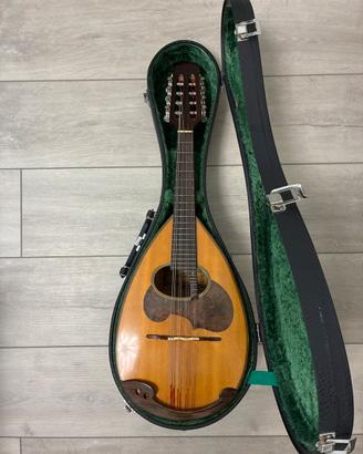 Mandolino Suzuki M30 con custodia