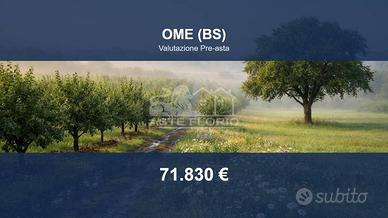 Immobile in asta di 11378 m² a Ome