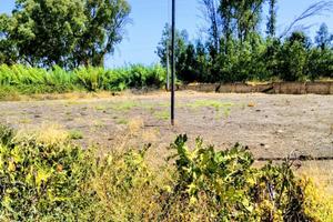 Terreno 28000 mq con fabbricati
