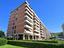Immagine 26