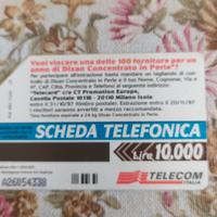 scheda telefonica 