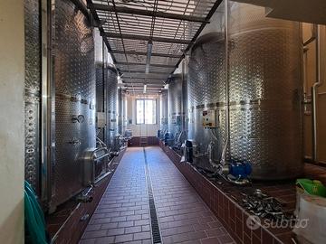 Tenuta Vinicola 30 ha di Chianti Classico Siena